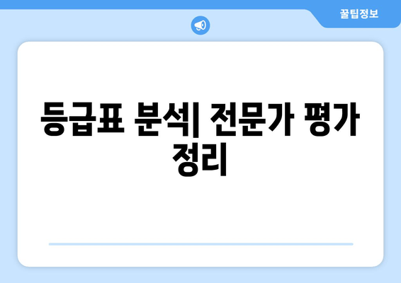 등급표 분석| 전문가 평가 정리