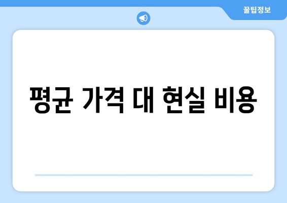 평균 가격 대 현실 비용