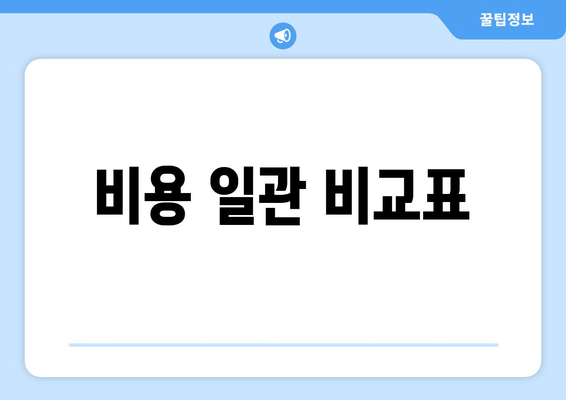 비용 일관 비교표