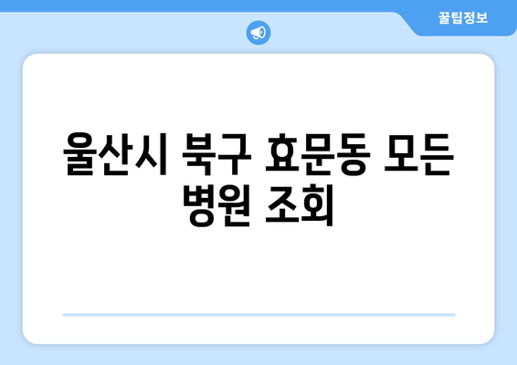 울산시 북구 효문동 모든 병원 조회