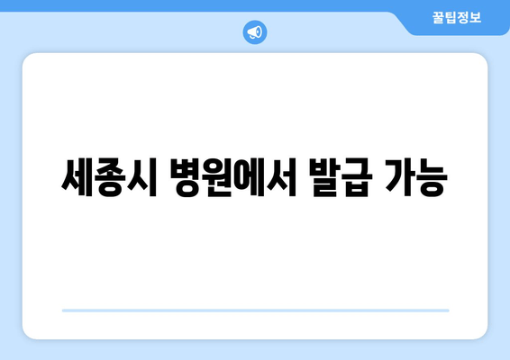 세종시 병원에서 발급 가능