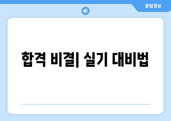 합격 비결| 실기 대비법