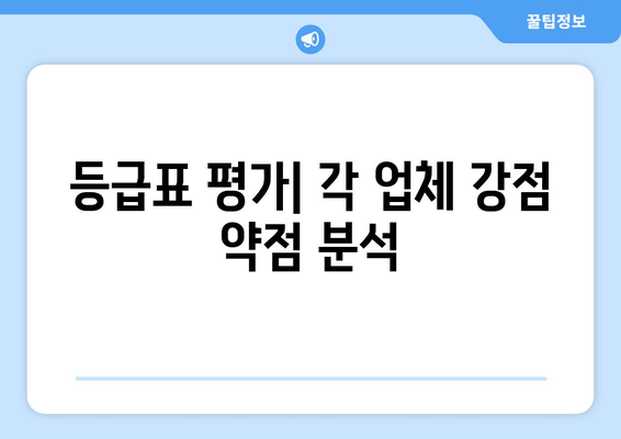 등급표 평가| 각 업체 강점 약점 분석