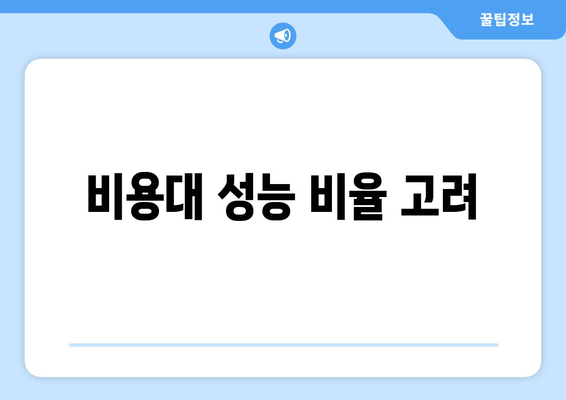 비용대 성능 비율 고려