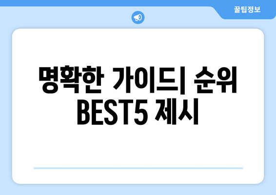 명확한 가이드| 순위 BEST5 제시