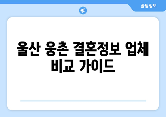 울산 웅촌 결혼정보 업체 비교 가이드