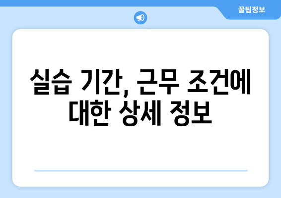 실습 기간, 근무 조건에 대한 상세 정보