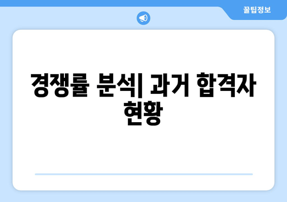 경쟁률 분석| 과거 합격자 현황