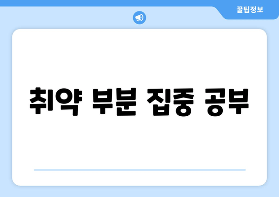 취약 부분 집중 공부