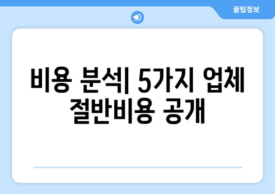 비용 분석| 5가지 업체 절반비용 공개