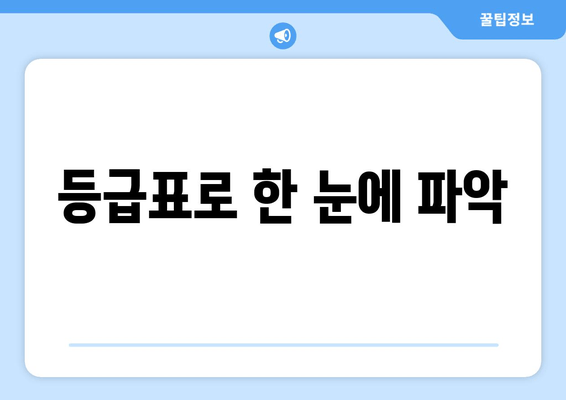 등급표로 한 눈에 파악