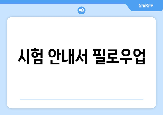 시험 안내서 필로우업