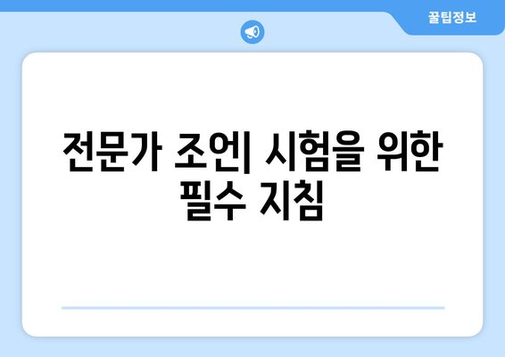 전문가 조언| 시험을 위한 필수 지침