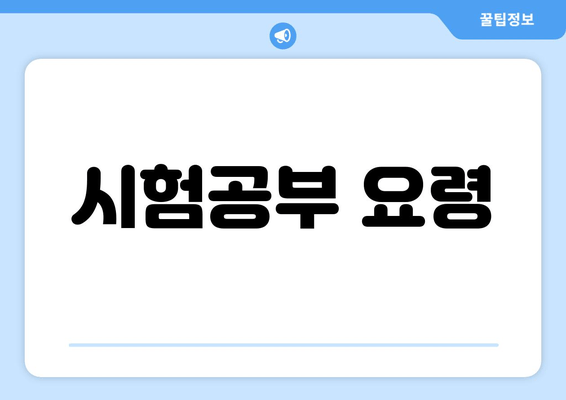 시험공부 요령