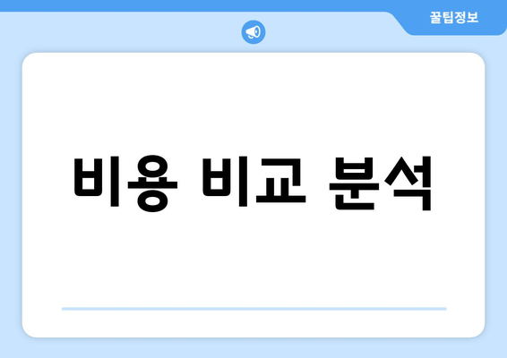 비용 비교 분석