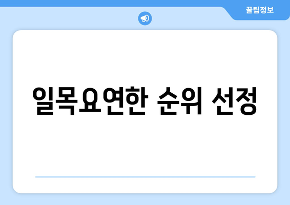 일목요연한 순위 선정