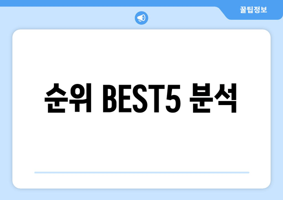 순위 BEST5 분석