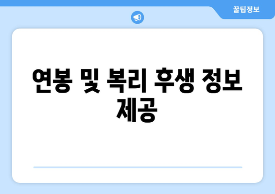 연봉 및 복리 후생 정보 제공