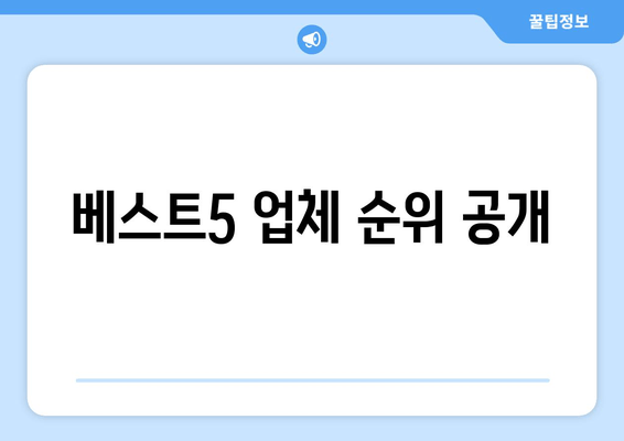 베스트5 업체 순위 공개