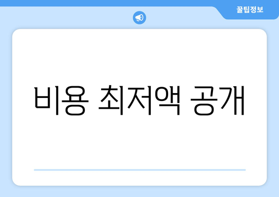 비용 최저액 공개