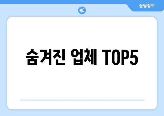 숨겨진 업체 TOP5