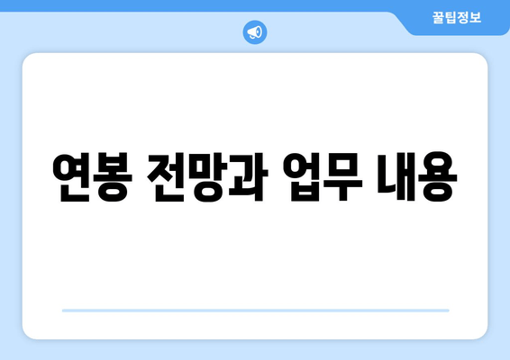 연봉 전망과 업무 내용