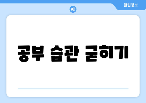 공부 습관 굳히기