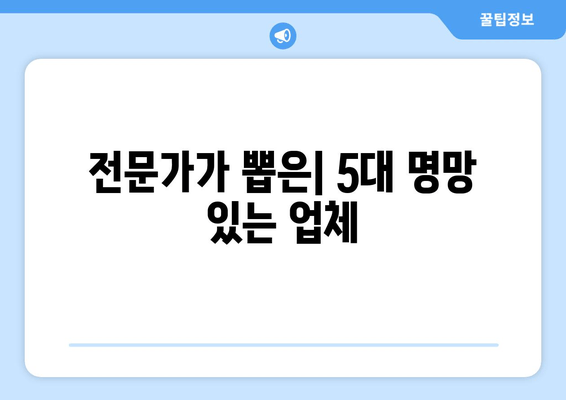 전문가가 뽑은| 5대 명망 있는 업체