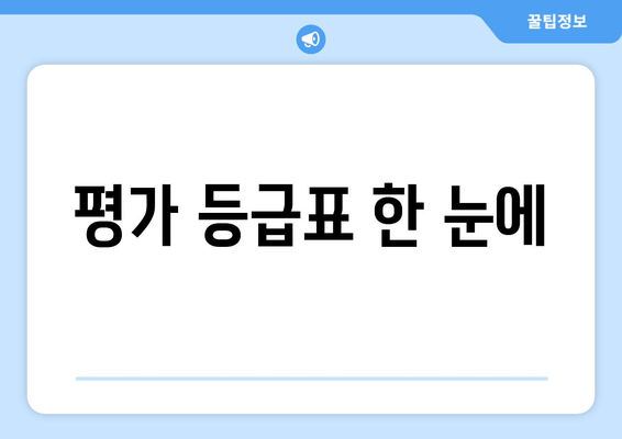 평가 등급표 한 눈에