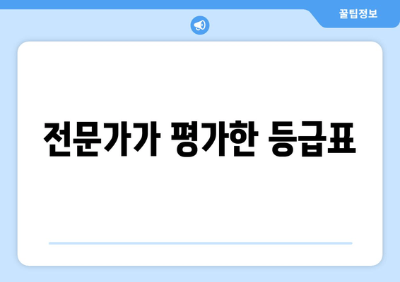 전문가가 평가한 등급표