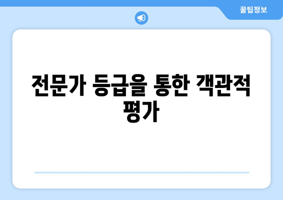 전문가 등급을 통한 객관적 평가