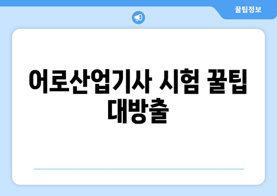 어로산업기사 시험 꿀팁 대방출