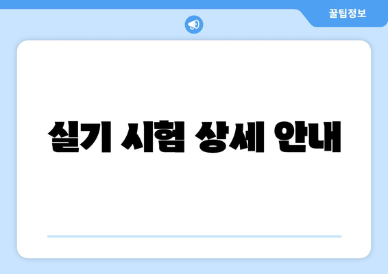 실기 시험 상세 안내