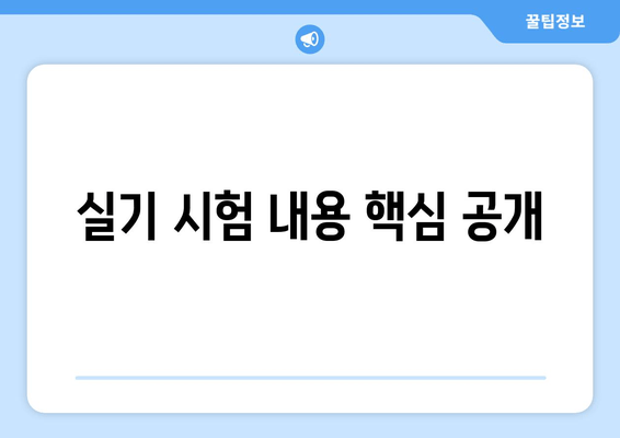 실기 시험 내용 핵심 공개