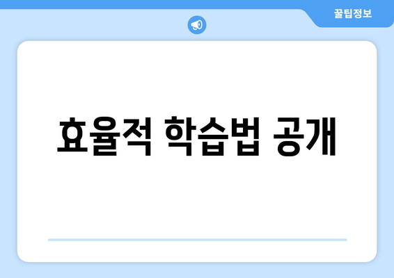 효율적 학습법 공개