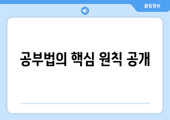 공부법의 핵심 원칙 공개