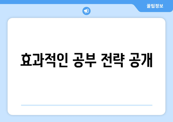 효과적인 공부 전략 공개