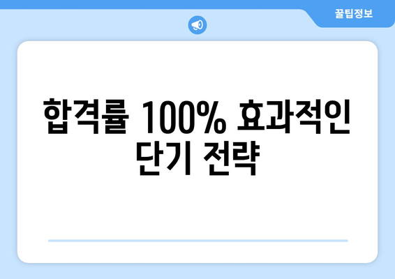 합격률 100% 효과적인 단기 전략