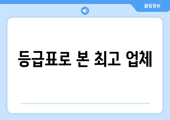 등급표로 본 최고 업체