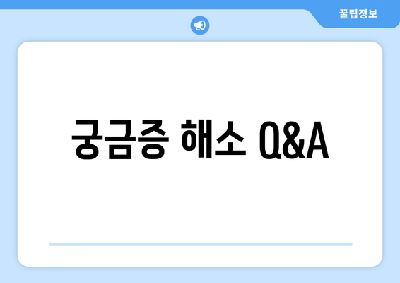 궁금증 해소 Q&A