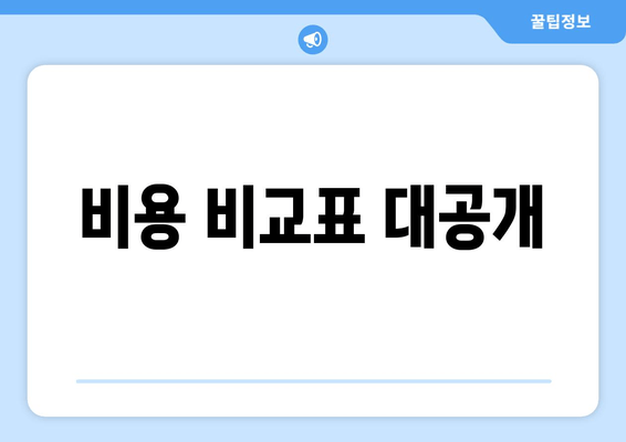 비용 비교표 대공개