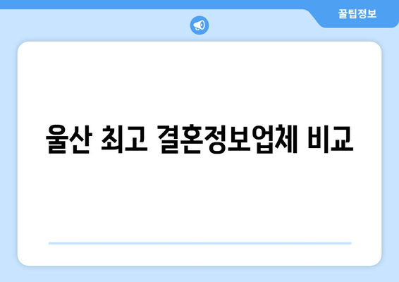 울산 최고 결혼정보업체 비교