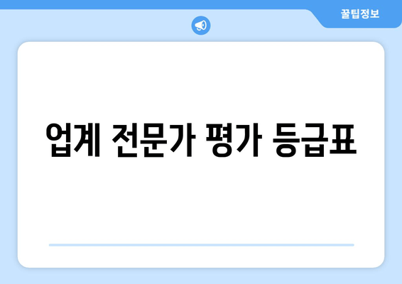 업계 전문가 평가 등급표