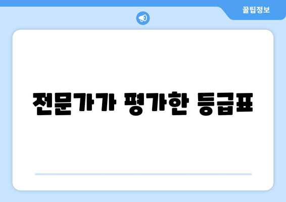 전문가가 평가한 등급표