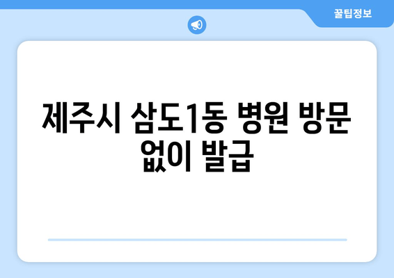 제주시 삼도1동 병원 방문 없이 발급