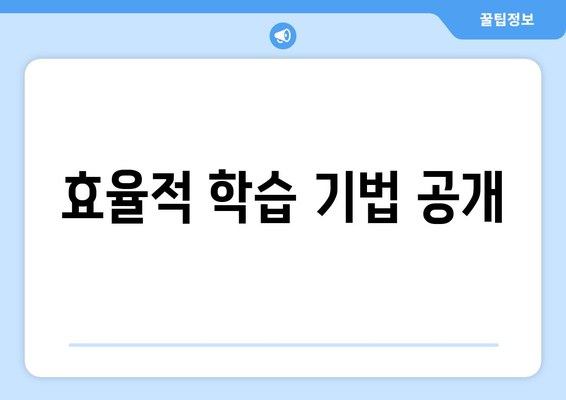 효율적 학습 기법 공개