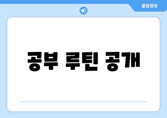 공부 루틴 공개