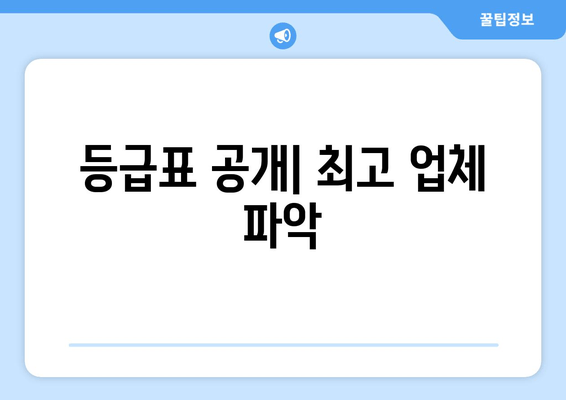 등급표 공개| 최고 업체 파악