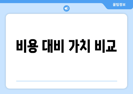 비용 대비 가치 비교