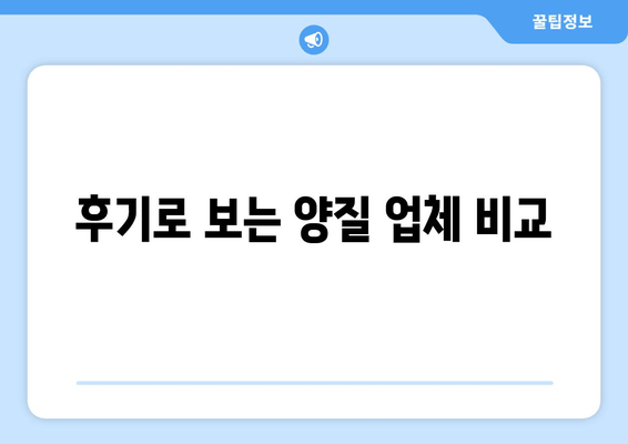 후기로 보는 양질 업체 비교